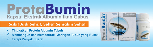 protabumin-kapsul-albumin-ekstrak-ikan-gabus-albumin