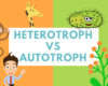 perbedaan autotrop heterotrop