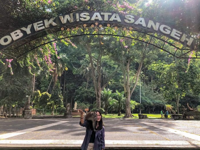 sangeh wisata