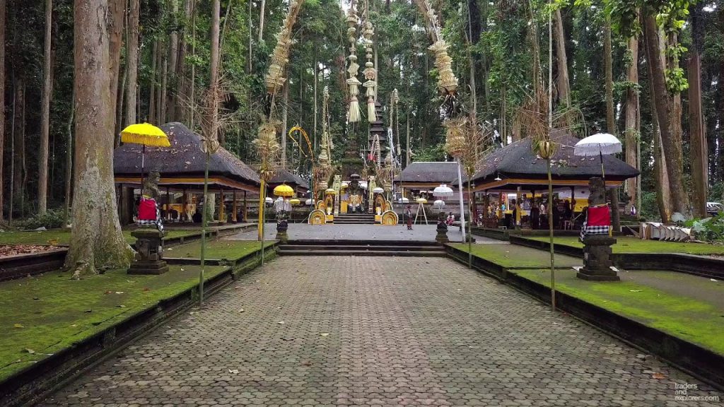 sangeh monkey forest